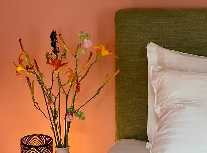 Camino 2 Cluj-Napoca